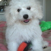 Olga tutors in Delray Beach, FL Olga tutors in Delray Beach, FL