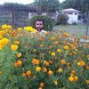 Hafeez tutors in Ahmadpur East, Pakistan Hafeez tutors in Ahmadpur East, Pakistan